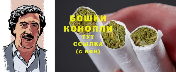 таблы Ельня