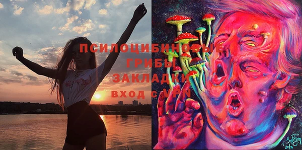 ECSTASY Заволжье